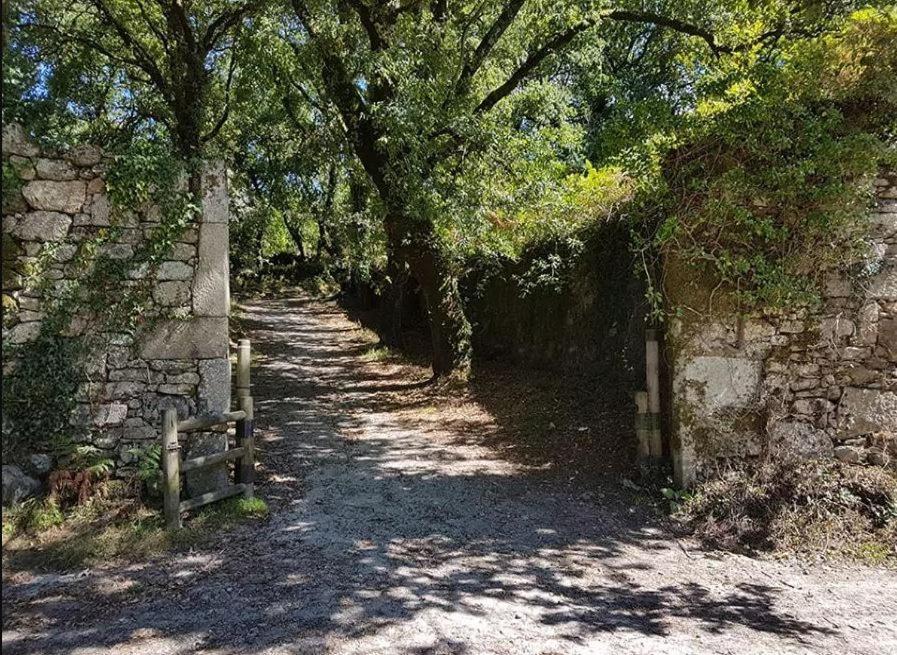 Апартаменты Acogedora Minicasa En Entorno Rural A 1200 M De La Catedral Сантьяго-де-Компостела Экстерьер фото